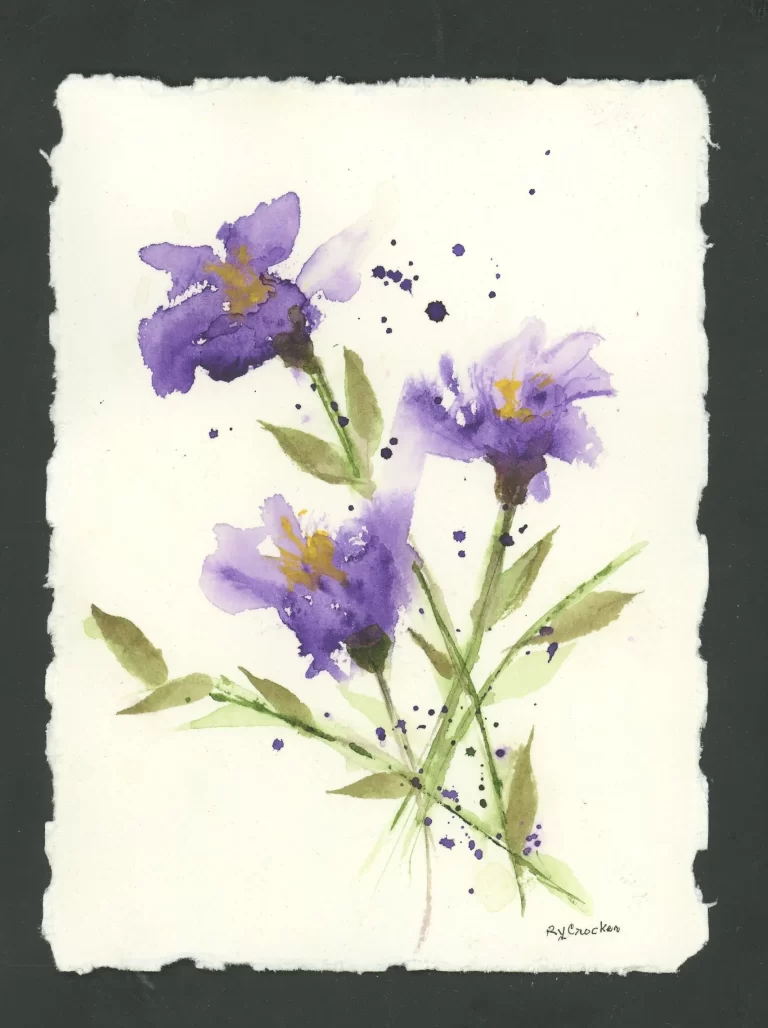 Spring Collection